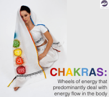 The Science of the Chakras