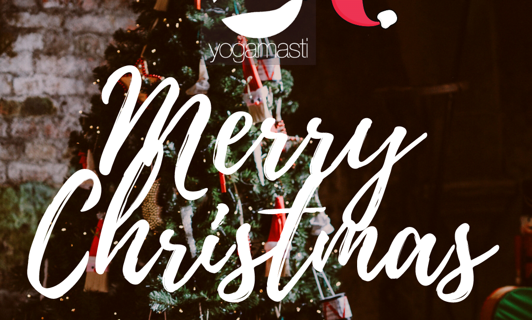 merry christmas message from yogamasti on a christmas tree background to show our christmas gratitude to customers