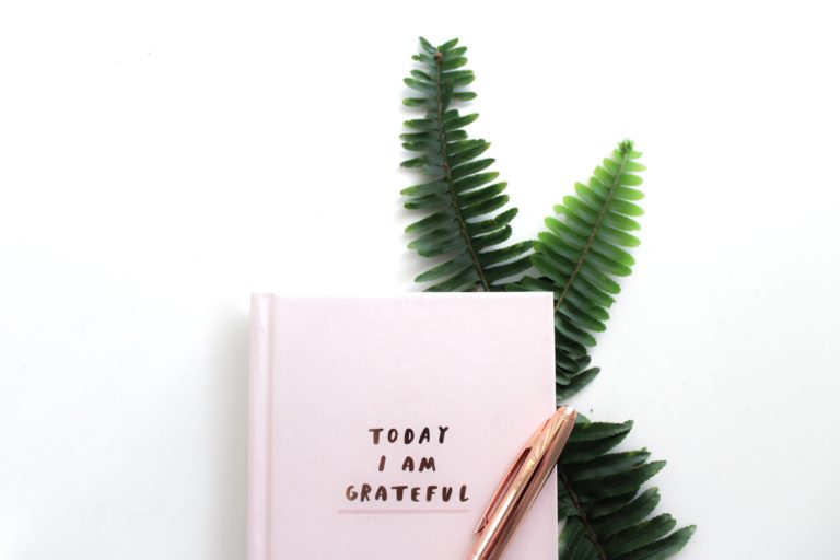 A pink gratitude journal pictured with a pen and decorative fern leaf