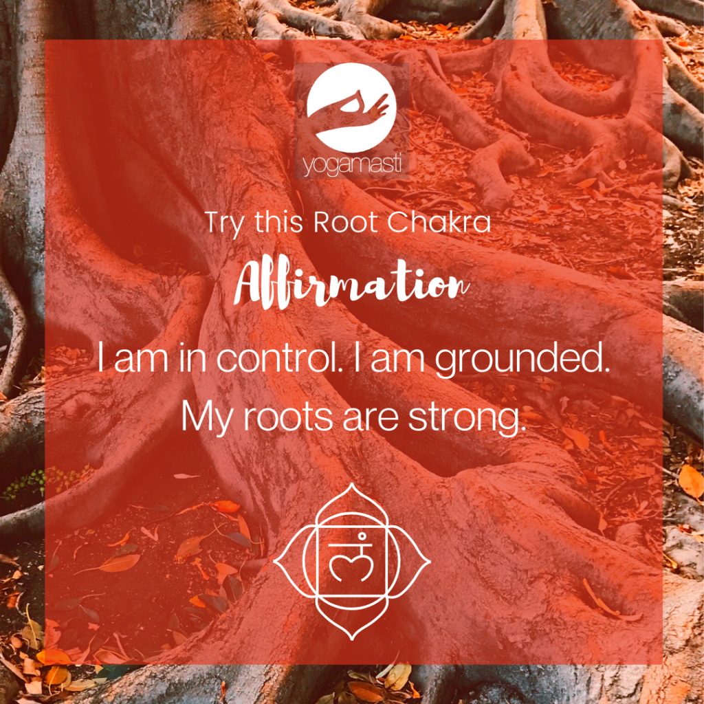 A root chakra affirmation on a image of a tree with large roots, part 1 of the affirmations for all chakras